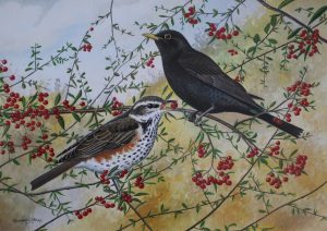 Birds by Richard Hull Artist