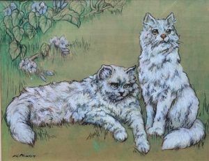 Persian Cats Kay Nixon