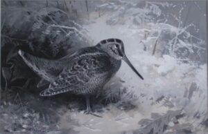 Resting Woodcock - Archibald Thorburn